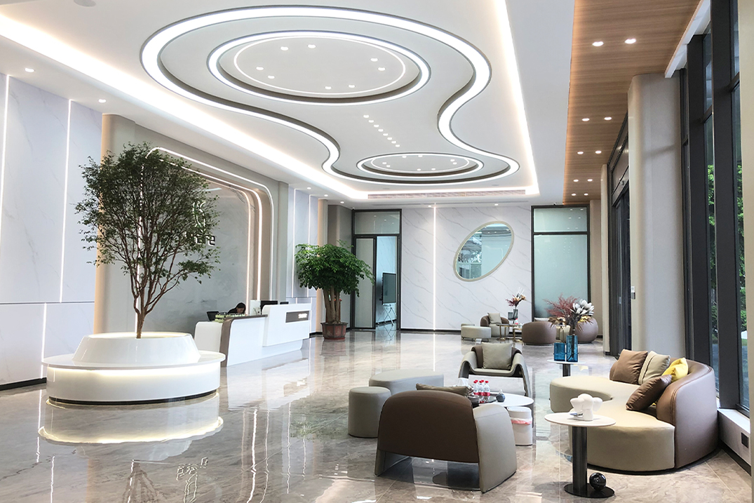 z6 · Beauty Navigator	